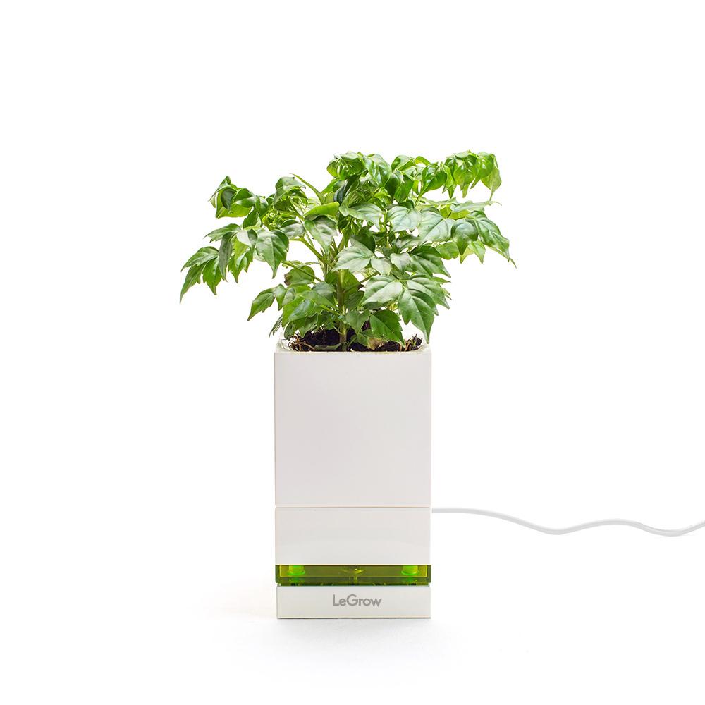 indoor smart planter LeGrow |Quick Charging Pot| Smart Indoor Garden