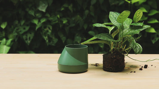Plant Pot with blend-in water reservoir (Small)
