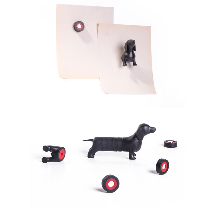 OfficeMagnet |Dachshund| - Allocacoc Europe Online Store