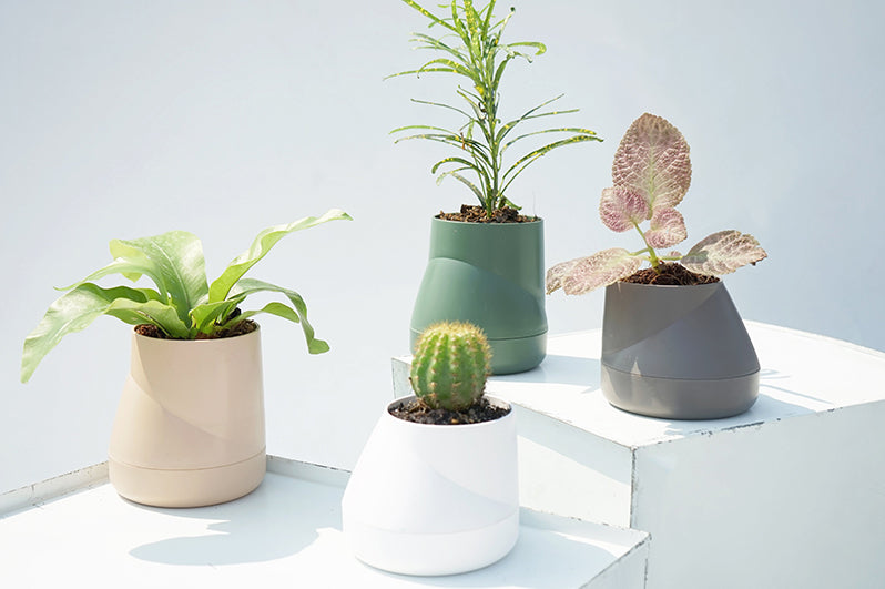 Plant Pot with blend-in water reservoir (Small)