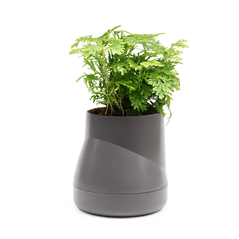 Plant Pot with blended in Water Reservoir - Grey (Large)