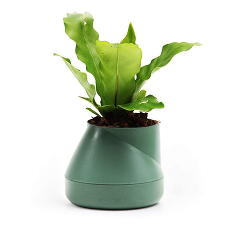 Plant Pot with blend-in water reservoir (Small)