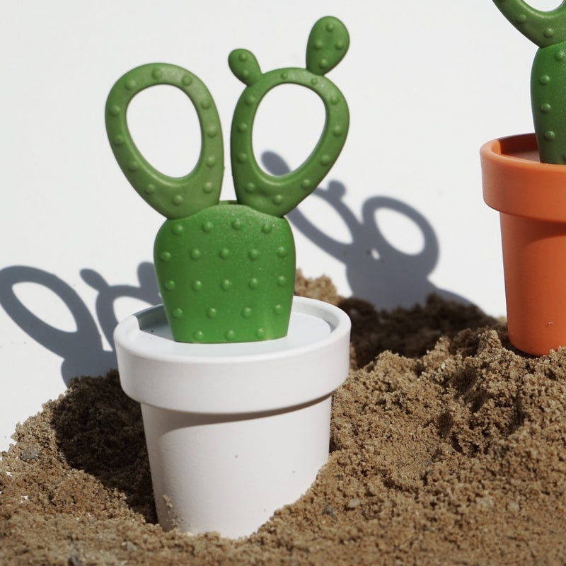 Scissors |Cactus| - Allocacoc Europe Online Store