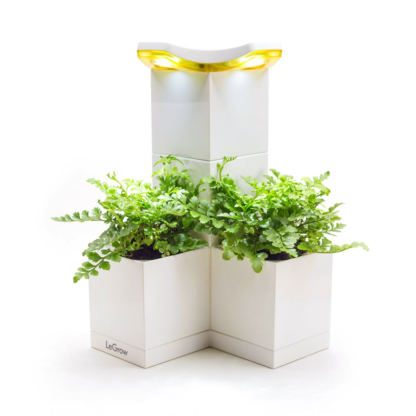 LeGrow |LED Lamp| - Allocacoc Europe Online Store