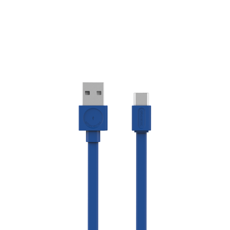 Til Ni Dempsey ildsted USBCable Flat |USB-C| - DesignNest Europe – DesignNest Europe